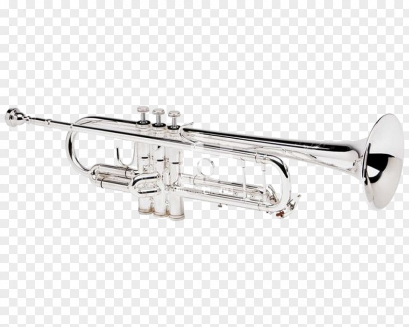 Hold The Trumpet Piccolo Brass Instruments Musical Leadpipe PNG