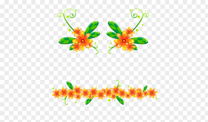 Orange Flower Dividing Line PNG