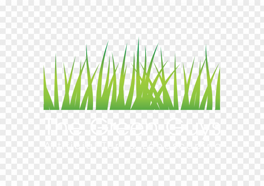 Turf Artificial Lawn Price Commodity PNG
