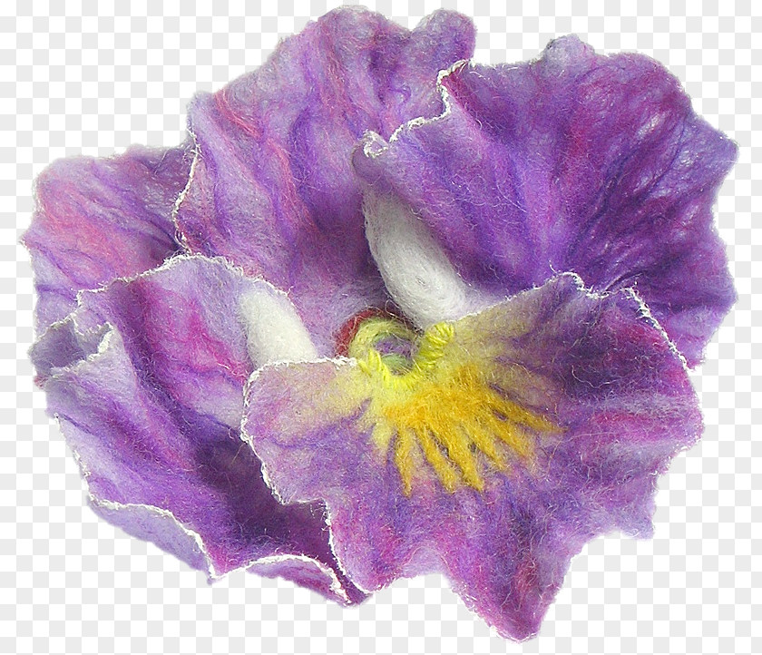 Violet Pansy Flower Petal Garden Roses PNG