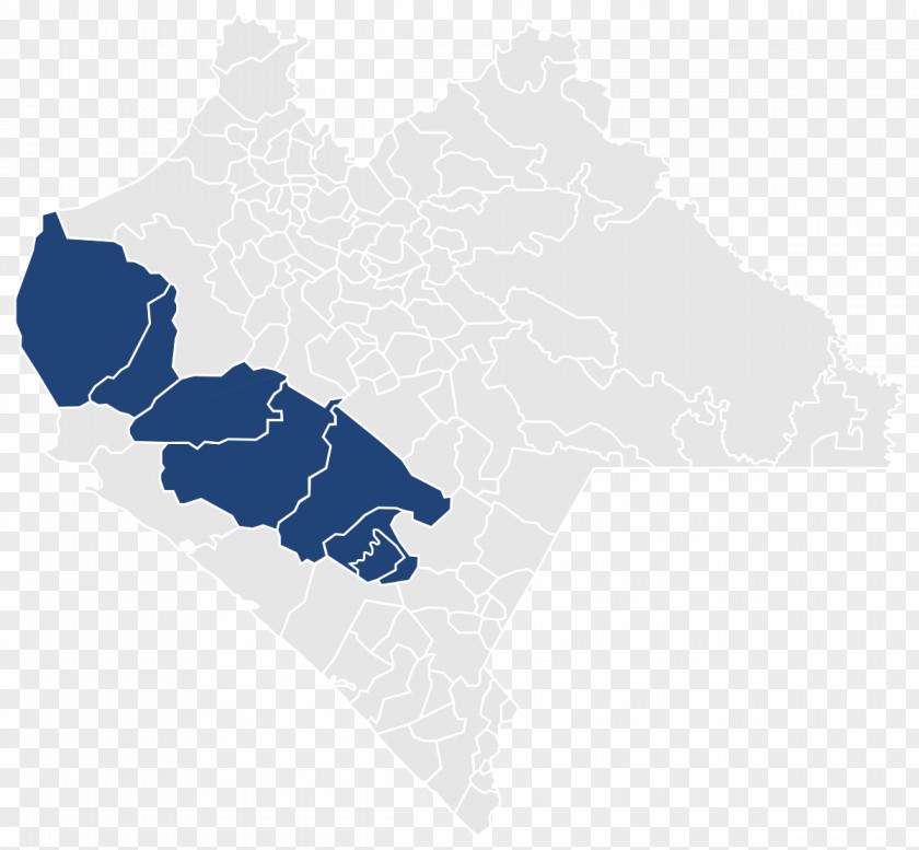 X Federal Electoral District Of Chiapas La Fraylesca Districts Mexico Frailesca PNG