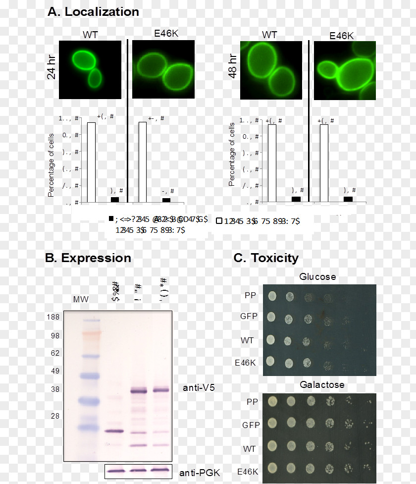 Alphasynuclein Alpha-synuclein Lake Forest College Parkinson's Disease Protein PNG