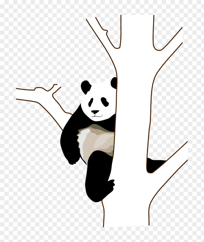 Bear Giant Panda Red Clip Art PNG