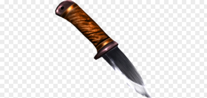 Knife Bowie Dagger Hunting & Survival Knives Throwing Metal PNG