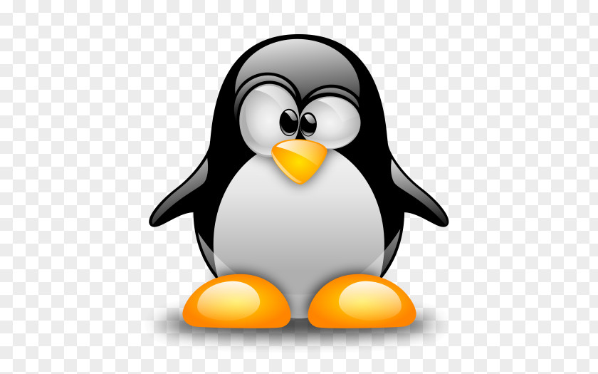 Linux Computer Servers Installation Samba Software Build PNG