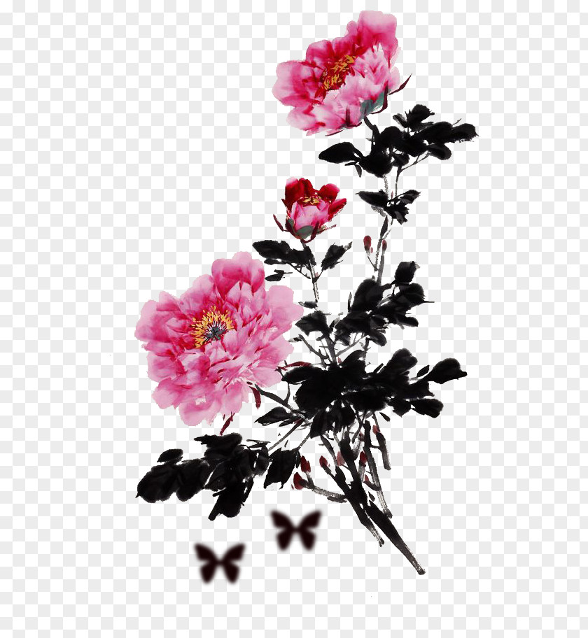 Peony Moutan Floral Design Clip Art PNG