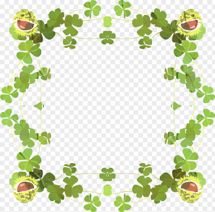 Flower Picture Frame St Patricks Day PNG