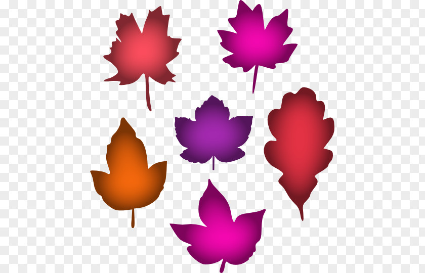 Leaf Purple Maple Petal Symmetry Clip Art PNG