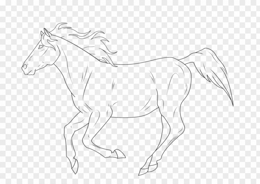Lineart Line Art Pony Stallion Mustang Drawing PNG