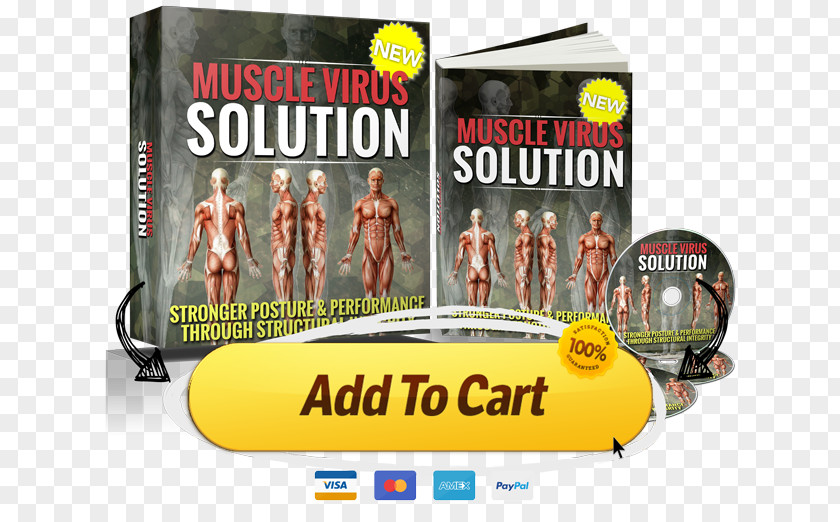 Muscle Fitness Virus Advertising Strength Camp Gym Social Media PNG
