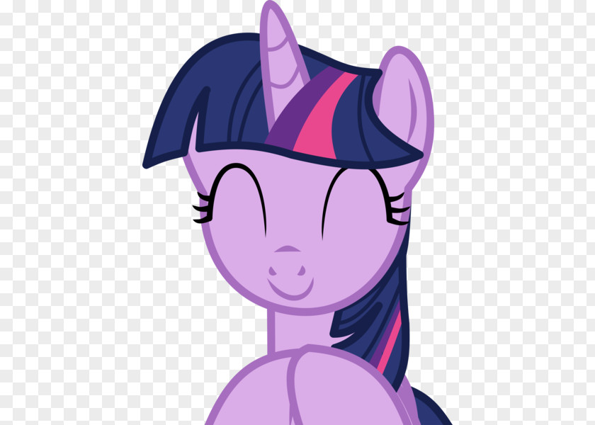 My Little Pony Twilight Dress Sparkle Rarity Pinkie Pie GIF PNG