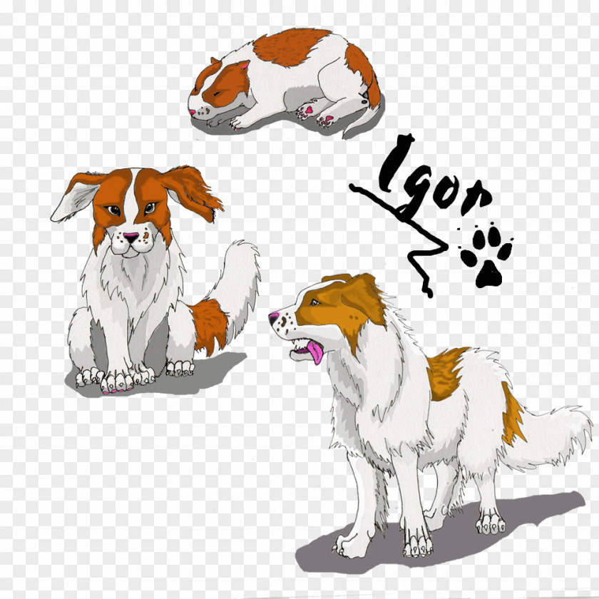 Puppy Dog Breed Companion Cat PNG