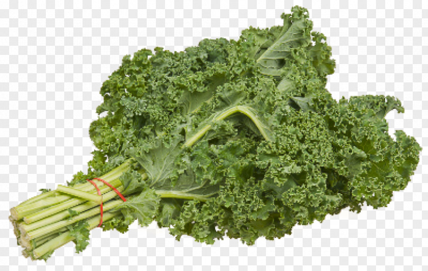 Vegetable Smoothie Lacinato Kale Leaf Green PNG