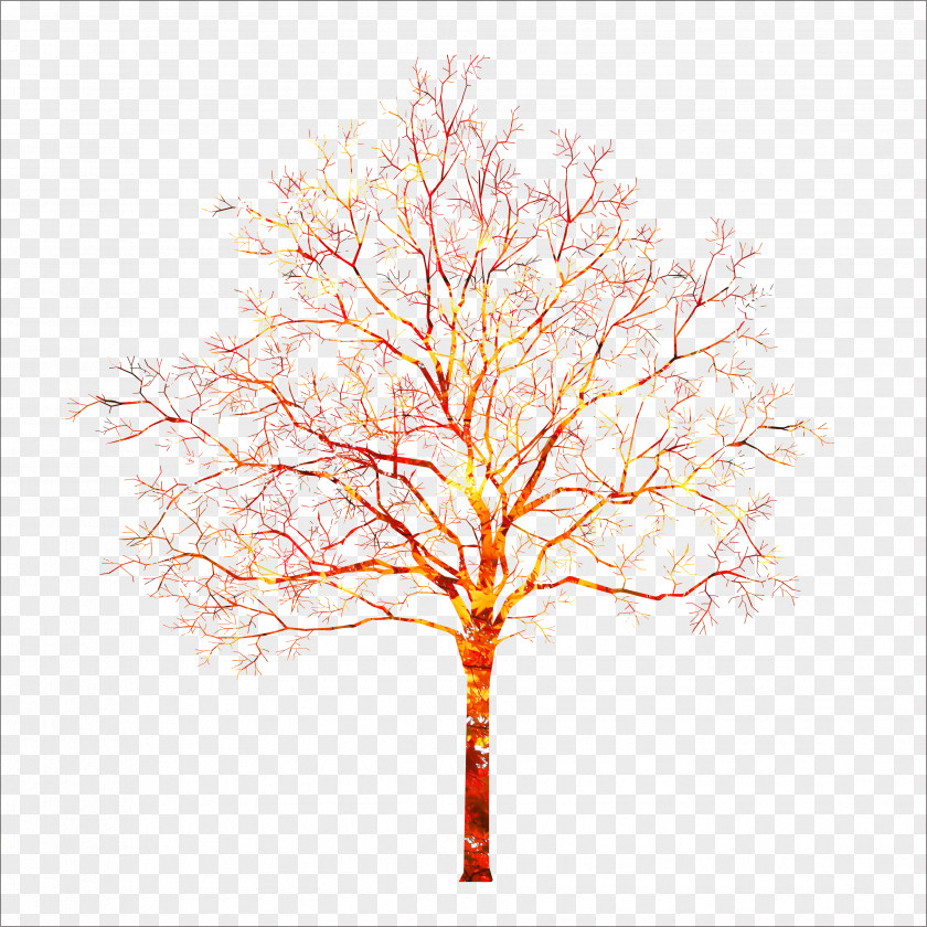 Autumn Tree PNG