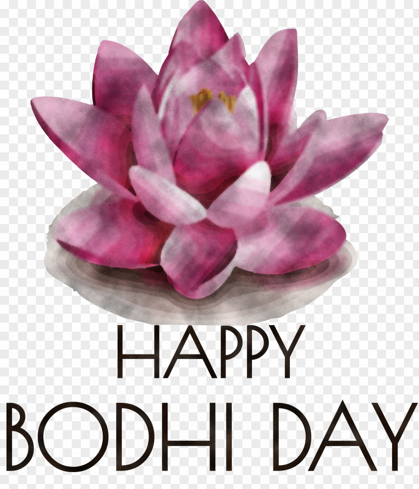 Bodhi Day Buddhist Holiday Bodhi PNG