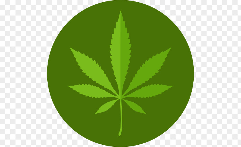Cannabis Medical Kush Marijuana Card Icon PNG