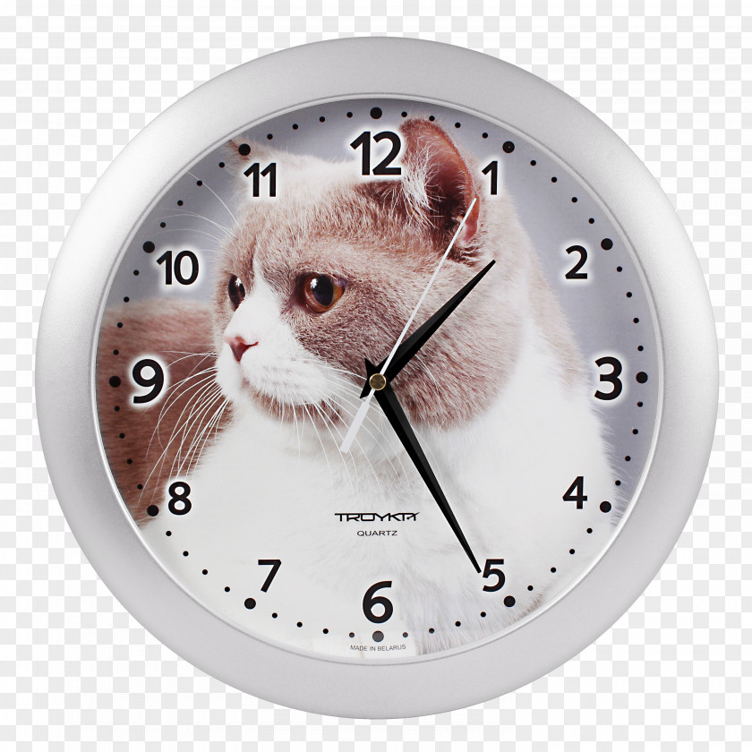 Clock Internet Moscow Online Shopping Whiskers PNG