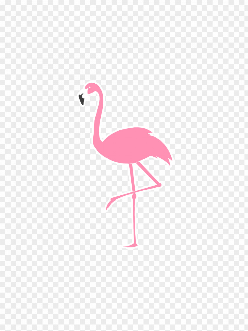 Flamingo T-shirt Logo Sticker Hoodie PNG