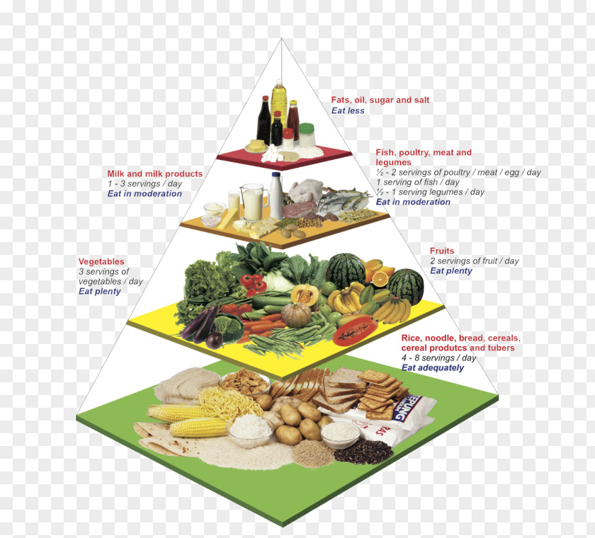 Health Malaysian Cuisine Food Pyramid Healthy Eating Nutrient PNG