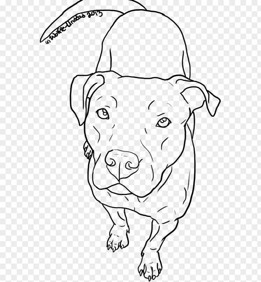 Pitbull American Pit Bull Terrier Drawing Line Art PNG