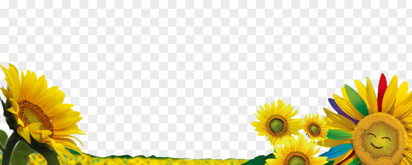 Sunflower With A Smiley Face Common Download Wallpaper PNG