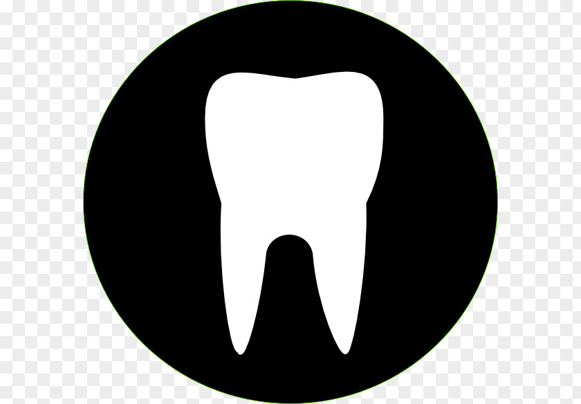 Tooth Black Cliparts Human Dentistry Clip Art PNG