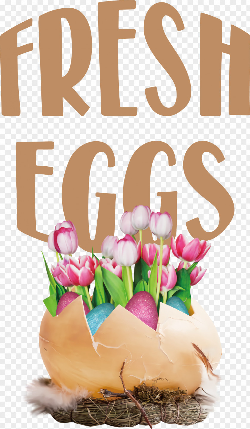 Fresh Eggs PNG