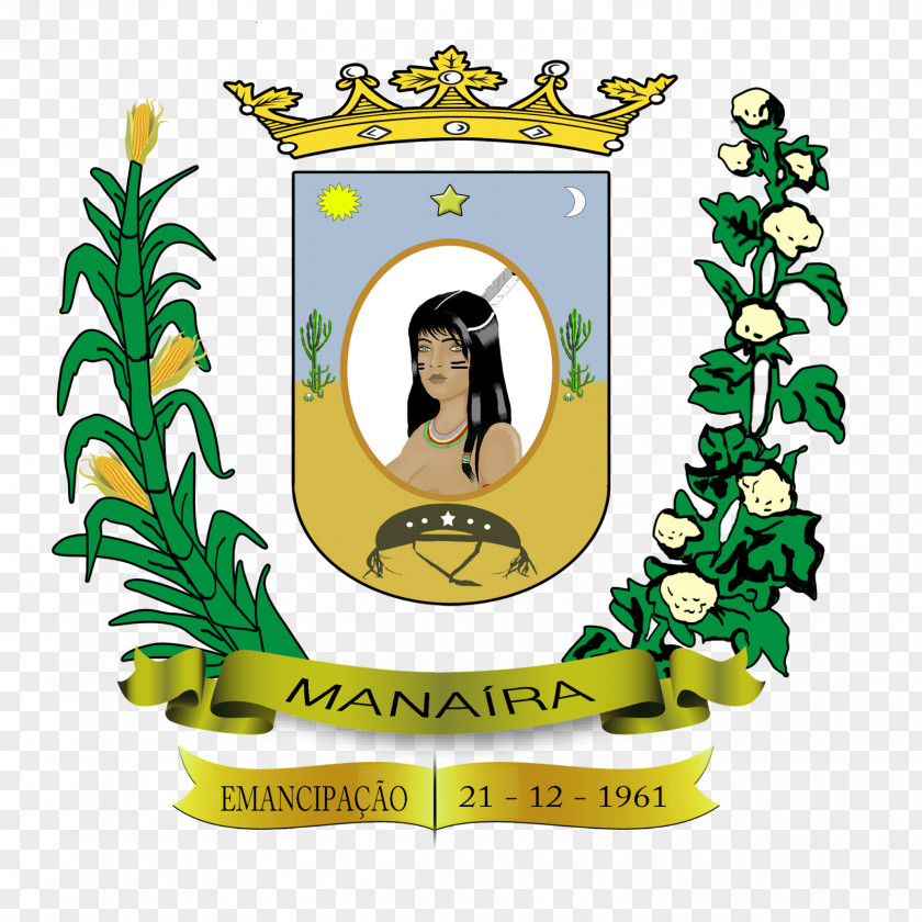 Medical Logo Brasão Da Paraíba Clip Art Coat Of Arms Government PNG
