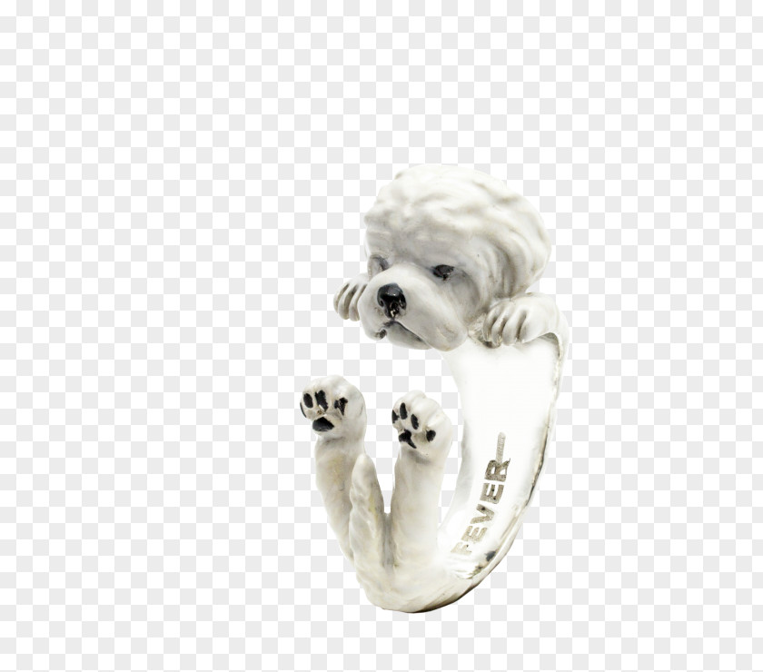 Puppy Maltese Dog Earring Breed Silver PNG