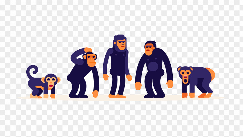 Cartoon Monkey Ape Evolution PNG