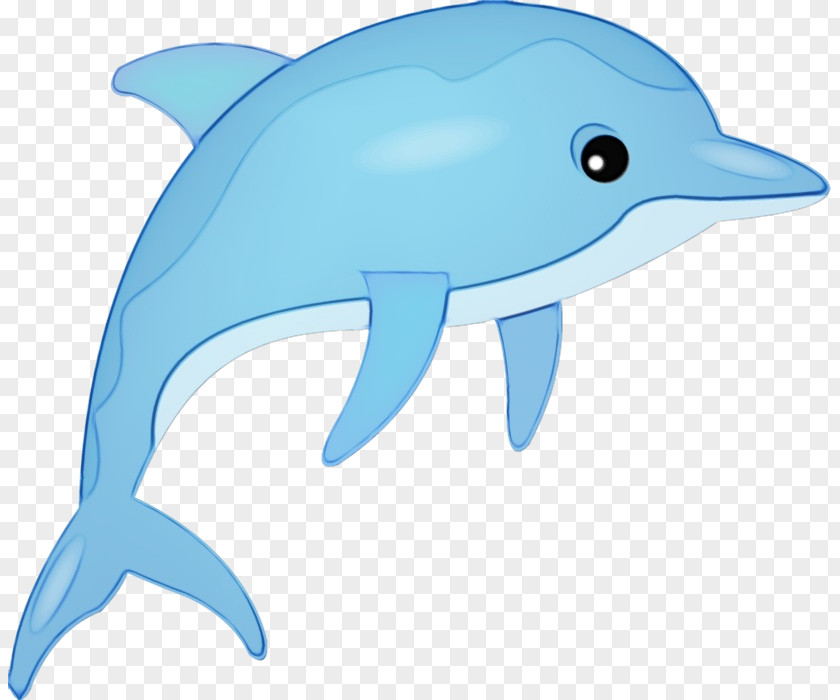 Dolphin Image Cartoon Clip Art PNG