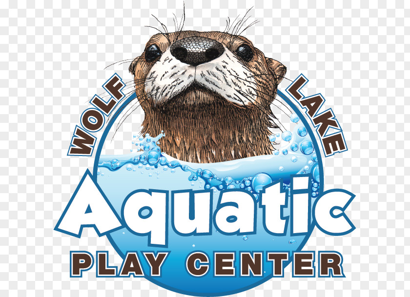 Lake Wolf Aquatic Play Center The Pavilion At Memorial Park PNG