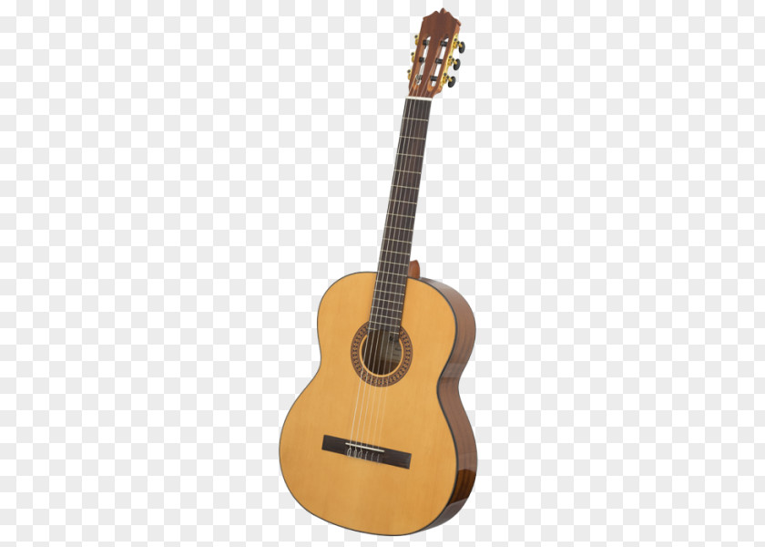 Steel-string Acoustic Guitar Classical Music PNG