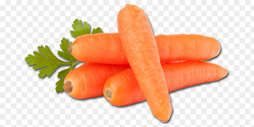 Carrot Baby Vegetable Orange PNG