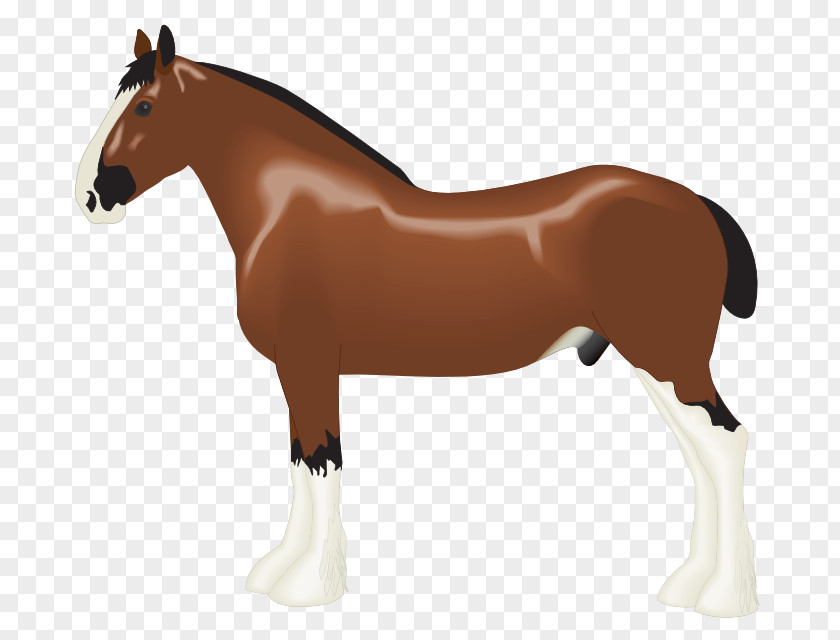 Clydesdale Horse Foal Draft Clip Art PNG