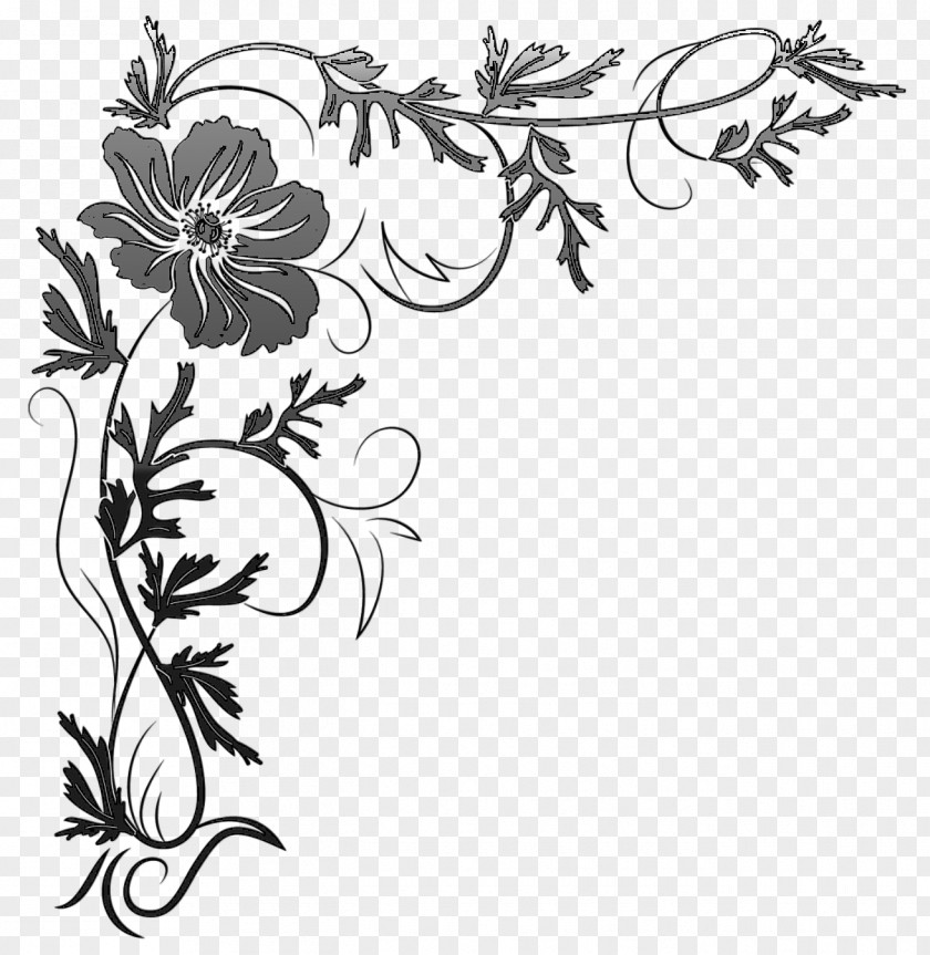 Design Floral Clip Art Decorative Borders Corners PNG