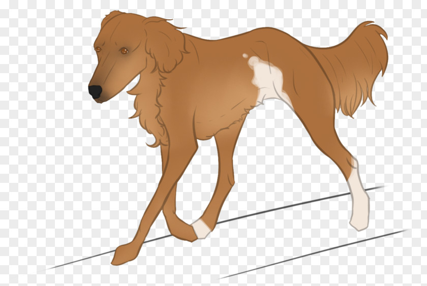 Fanta Dog Mustang Mammal Pet Animal PNG