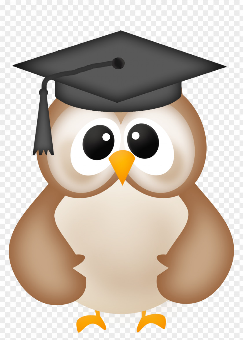 Graduation Owl Ceremony Clip Art PNG