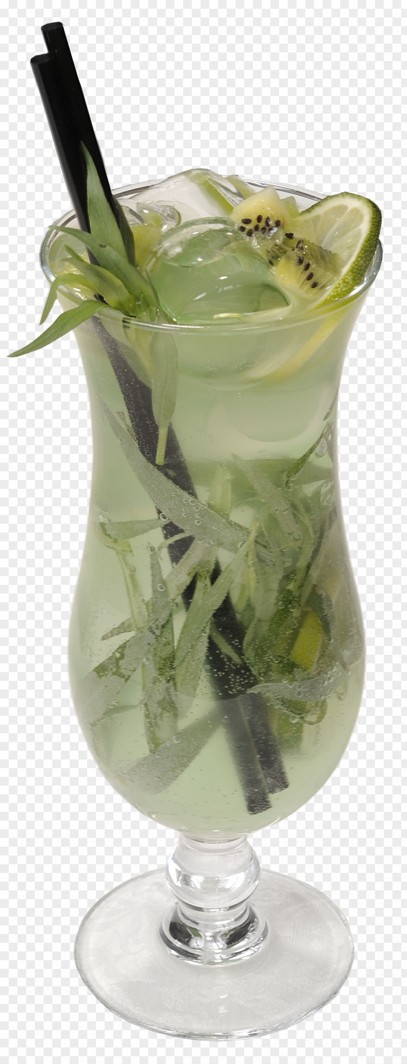 Juice Tarhun Lemonade Mint Julep Mojito PNG