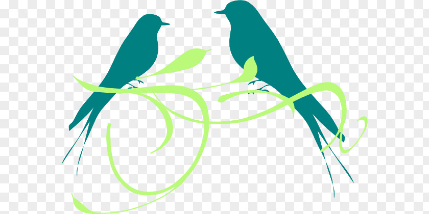 Lovebird. Parrot Clip Art Budgerigar Bird Drawing PNG