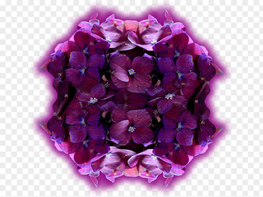 Purple Hydrangea Cut Flowers Petal Art PNG