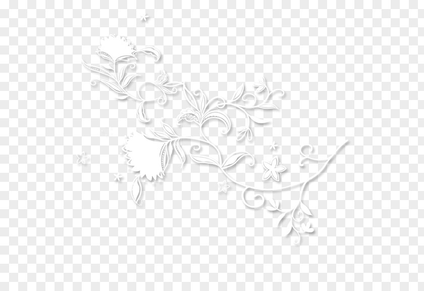 Shading Lace Plant White Black Pattern PNG