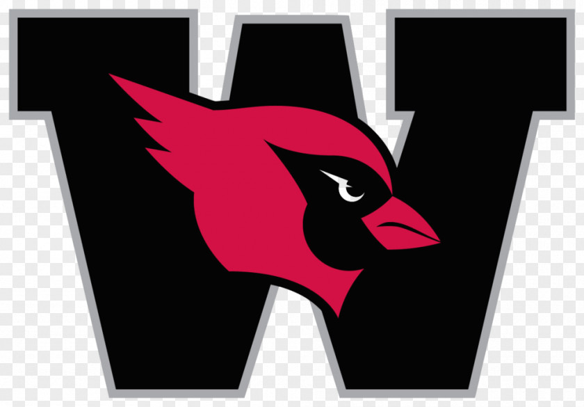 Student Ohio Wesleyan University Cardinals Football Columbia PNG