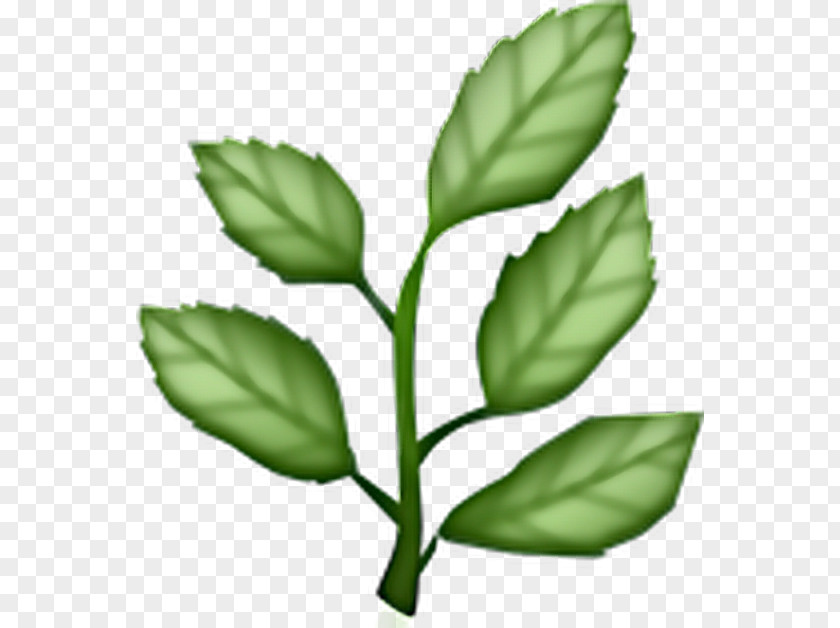 Aesthetic Leaves Emoji Plants Image Clip Art PNG