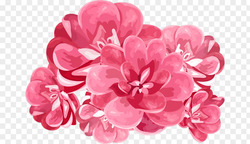 Flower Bouquet PNG