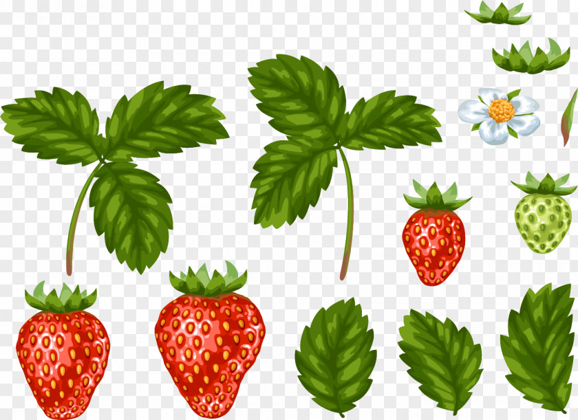 Hand Painted Strawberry With Leaves Leaf Food PNG