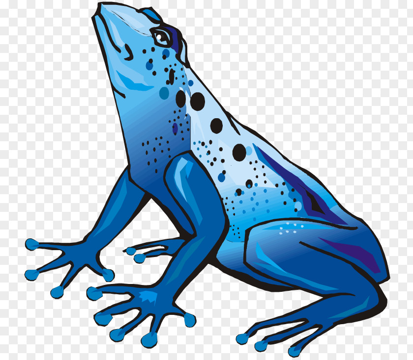 Jungle Frog Cliparts Green And Black Poison Dart Blue Clip Art PNG