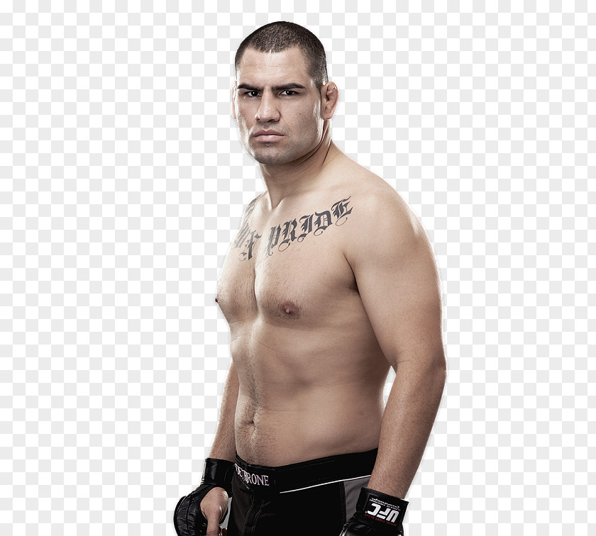 Mixed Martial Arts Cain Velasquez Fox UFC On 1: Vs. Dos Santos 200: Tate Nunes 155: 2 PNG