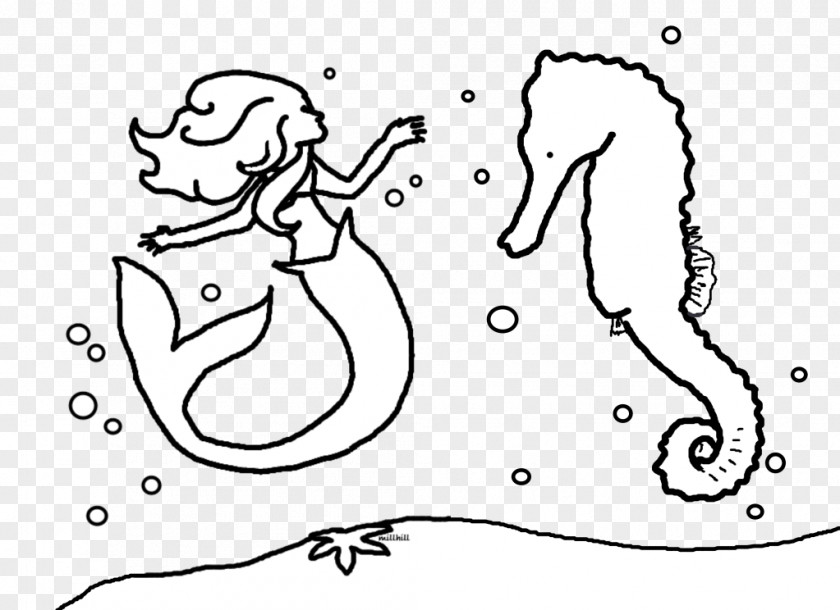 Nature Sea Animals Conch Seahorse Coloring Book Child Drawing Clip Art PNG