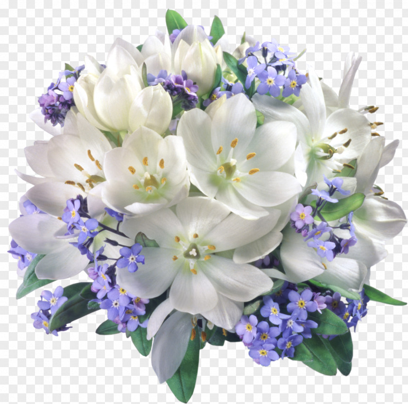 Snowdrop Flower Bouquet Jasmine Clip Art PNG